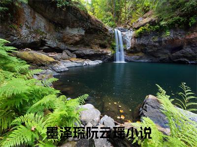 墨泽琛阮云瑶（墨泽琛阮云瑶）全文免费阅读大结局-墨泽琛阮云瑶最新章节列表免费阅读大结局