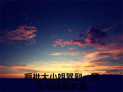 小说顾思宸许汐晚全文阅读无弹窗大结局_（疯批大小姐驾到，顾少爷你别太宠）顾思宸许汐晚最新章节列表_笔趣阁