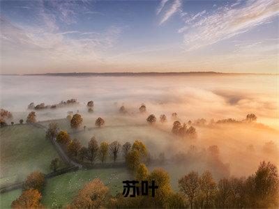 苏叶（空间之在秦朝的逍遥日子）小说全文免费阅读无弹窗-苏叶全章节在线阅读