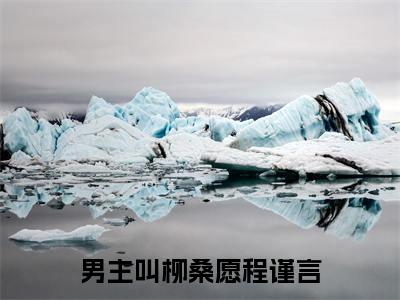柳桑愿程谨言（柳桑愿程谨言）小说全文无删减-柳桑愿程谨言小说免费阅读大结局