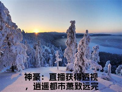 神豪：直播获得透视，逍遥都市（萧致远）最新免费小说-萧致远（神豪：直播获得透视，逍遥都市）全文全章节免费阅读