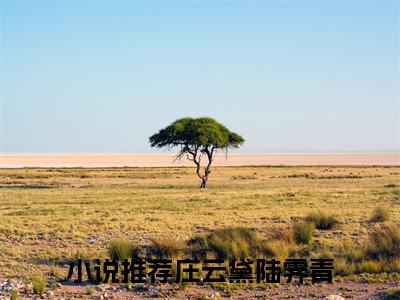 摄政王的末世小农妃（庄云黛陆霁青）小说全文无删减版_摄政王的末世小农妃最新章节列表_笔趣阁（庄云黛陆霁青）