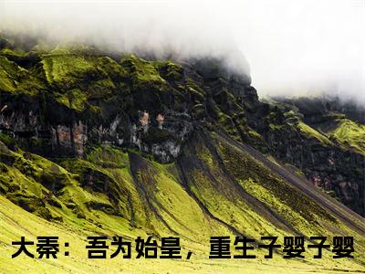 大秦：吾为始皇，重生子婴子婴正版小说最新章节在线阅读-2023最火热点小说大秦：吾为始皇，重生子婴最新更新