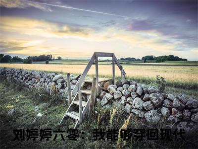六零：我能够穿回现代刘婷婷完整全文在线阅读 刘婷婷抖音热推小说全集无删减