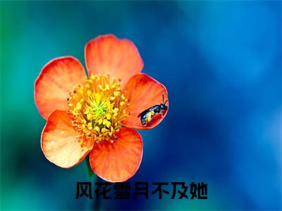 纪瑶婧叶梓奕全网热搜（风花雪月不及她）是什么小说,纪瑶婧叶梓奕免费阅读无弹窗