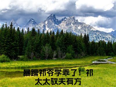 祁御季唯一阅读无弹窗大结局_暴躁祁爷学乖了！祁太太驭夫有方穿越小说免费阅读_笔趣阁