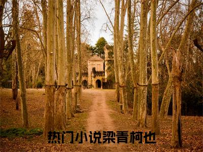 梁青柯也（梁青柯也）小说推荐精彩章节全文阅读-热门小说梁青柯也精选章节阅读