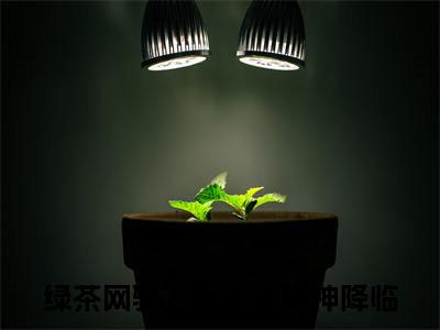 溪挽全文小说绿茶网骗？我直接美神降临免费在线分享-新书热荐免费小说绿茶网骗？我直接美神降临