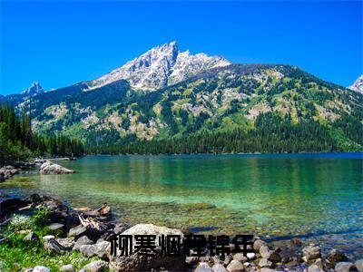 柳寒烟程锦年全文（柳寒烟程锦年小说）全文免费阅读无弹窗大结局_柳寒烟程锦年免费最新章节列表_笔趣阁（柳寒烟程锦年小说）