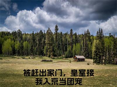 被赶出家门，皇室接我入京当团宠免费阅读无弹窗大结局，唐馨炎菁菁（最新全章节）全文阅读免费阅读-笔趣阁