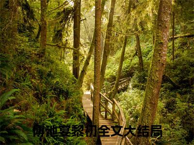 傅池宴黎初（傅池宴黎初）免费小说-（傅池宴黎初）完结版在线阅读