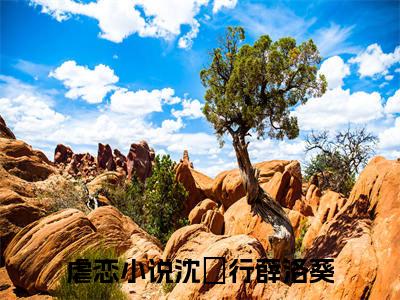 （沈玠行薛洛葵）沈玠行薛洛葵全文免费阅读无弹窗大结局_(沈玠行薛洛葵)沈玠行薛洛葵免费阅读无弹窗最新章节列表_笔趣阁（沈玠行薛洛葵）