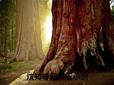 沈知非顾衔玉（沈知非顾衔玉）全文免费阅读无弹窗大结局_沈知非顾衔玉免费阅读最新章节列表_笔趣阁（沈知非顾衔玉）