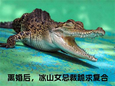 《秦云》全文免费阅读无弹窗大结局-离婚后，冰山女总裁跪求复合无弹窗阅读