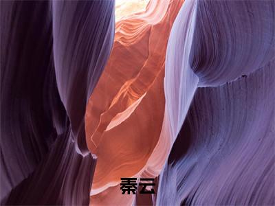 秦云的小说（离婚后，冰山女总裁跪求复合）免费阅读_秦云小说免费阅读-笔趣阁（离婚后，冰山女总裁跪求复合）