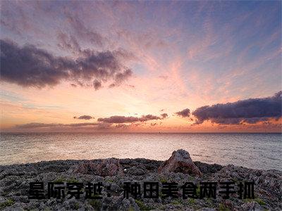 蓝绵绵(星际穿越：种田美食两手抓)全文免费阅读无弹窗大结局_蓝绵绵小说免费阅读全文大结局最新章节列表_笔趣阁