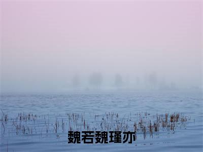 魏若魏瑾亦全文免费阅读无弹窗大结局_(魏若魏瑾亦免费阅读)魏若魏瑾亦最新章节列表_笔趣阁