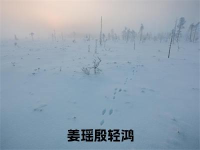 姜瑶殷轻鸿小说《姜瑶殷轻鸿》全章节阅读-姜瑶殷轻鸿精彩小说全文赏析