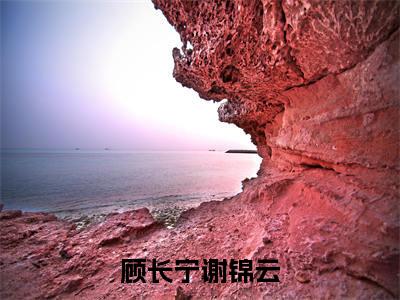 （顾长宁谢锦云）是什么小说-顾长宁谢锦云全文免费阅读无弹窗大结局（顾长宁谢锦云）最新章节列表_笔趣阁