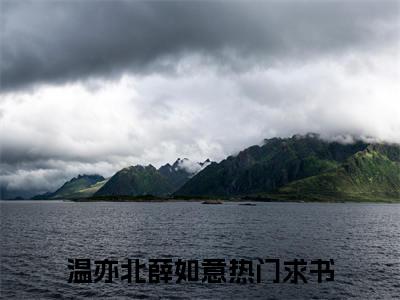 温亦北薛如意结局_温亦北薛如意最新章节列表_笔趣阁