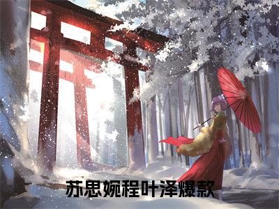 苏思婉程叶泽阅读无弹窗大结局_苏思婉程叶泽最新章节列表_笔趣阁