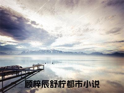 顾梓辰舒柠全文免费阅读无弹窗-顾梓辰舒柠小说全文在线赏析_笔趣阁（顾梓辰舒柠）