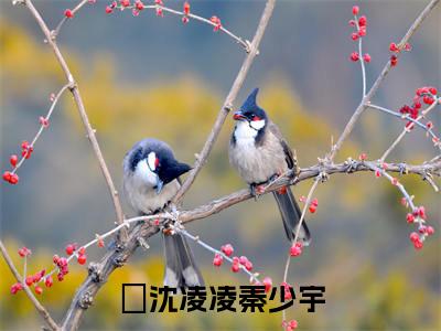 沈凌凌秦少宇(沈凌凌秦少宇)小说免费阅读无弹窗_(沈凌凌秦少宇)沈凌凌秦少宇最新章节列表笔趣阁（沈凌凌秦少宇）