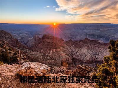 林星落陆北琛全文免费在线阅读_（林星落陆北琛免费阅读无弹窗）林星落陆北琛全文免费完结版阅读
