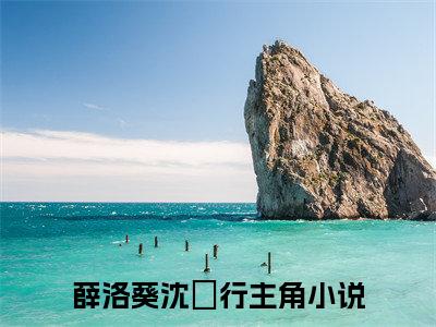 薛洛葵沈玠行言情小说免费观看-小说(薛洛葵沈玠行)最新章节阅读在线赏析