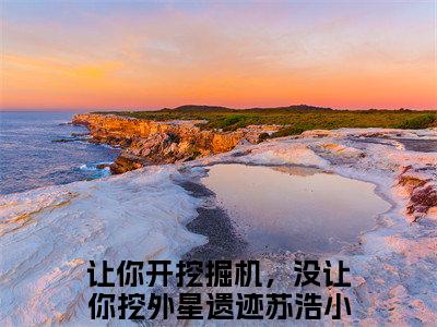 让你开挖掘机，没让你挖外星遗迹苏浩抖音新书热门热荐- 让你开挖掘机，没让你挖外星遗迹苏浩小说在线观看