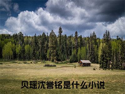 小说完整版阅读-贝瑶沈誉铭美文欣赏