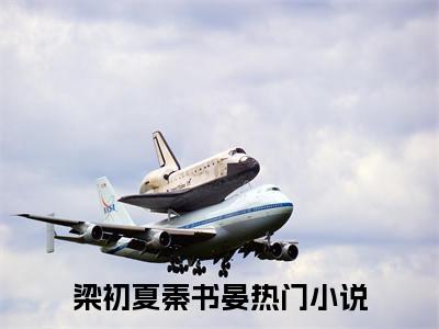 （梁初夏秦书晏）新书热荐免费小说-小说大结局