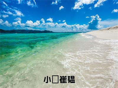 小婳崔韫新书热荐免费小说全文完整版-小说精选片段阅读