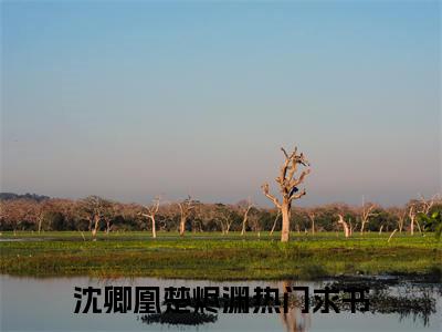 沈卿凰楚烬渊小说全文免费阅读 沈卿凰楚烬渊小说全文在线赏析_笔趣阁