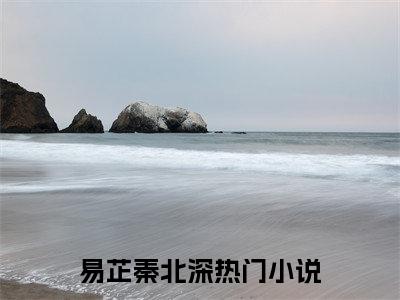 （易芷秦北深）小说全文免费阅读-微小说（易芷秦北深）完整版阅读