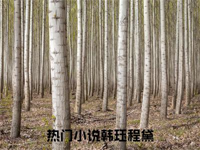 韩珏程黛小说叫什么名字（韩珏程黛）完整版大结局-韩珏程黛小说在线阅读
