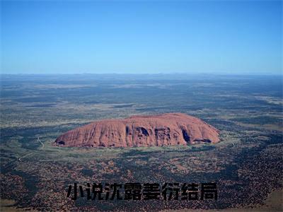 沈露姜衍（沈露姜衍全文免费阅读）小说最新章节_沈露姜衍全文免费阅读最新章节列表