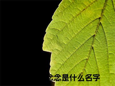 傅时璟沈念念（傅时璟沈念念）热门小说在哪免费看-傅时璟沈念念小说全章节阅读