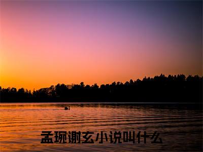孟琬谢玄(孟琬谢玄)全文免费阅读无弹窗大结局_ 孟琬谢玄免费阅读最新章节列表_笔趣阁