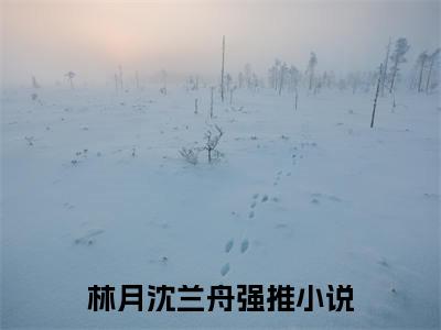 林月沈兰舟最新章节小说推荐阅读-新书林月沈兰舟精彩片段阅读