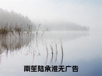 (南笙陆承淮)小说免费阅读无弹窗_（南笙陆承淮免费阅读）南笙陆承淮小说最新章节列表_笔趣阁（南笙陆承淮）