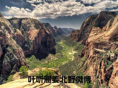 叶听澜姜北野在哪免费看 叶听澜姜北野结局是什么（叶听澜姜北野）小说无弹窗免费阅读