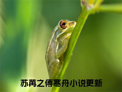 苏苒之傅寒舟（苏苒之傅寒舟）全文免费阅读无弹窗大结局-（苏苒之傅寒舟免费阅读全文大结局）最新章节