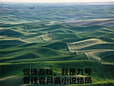 惊悚游戏，我是九号管理者月鸢全文免费大结局 惊悚游戏，我是九号管理者月鸢小说在线阅读