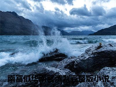萌宝来袭，清冷佛子节节败退全文免费（南宫似华南宫清梨）全文免费阅读无弹窗大结局_（南宫似华南宫清梨全文免费萌宝来袭，清冷佛子节节败退）