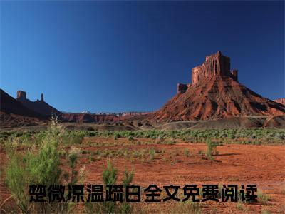 楚微凉温疏白全文（楚微凉温疏白小说）全文免费阅读无弹窗大结局_楚微凉温疏白免费最新章节列表_笔趣阁（楚微凉温疏白小说）