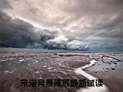 宋溶月景泽辰（宋溶月景泽辰）全文免费阅读无弹窗大结局_宋溶月景泽辰小说全文免费阅读最新章节列表_笔趣阁（宋溶月景泽辰）