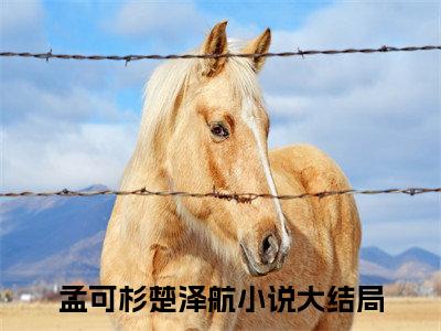 孟可杉楚泽航（孟可杉楚泽航）全文免费阅读无弹窗大结局_孟可杉楚泽航最新章节列表_笔趣阁（孟可杉楚泽航）