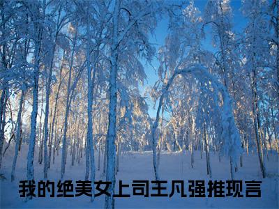 我的绝美女上司王凡全文小说-（我的绝美女上司王凡）最新章节在线阅读