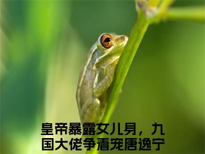 皇帝暴露女儿身，九国大佬争着宠唐逸宁全文免费阅读无弹窗大结局_（皇帝暴露女儿身，九国大佬争着宠唐逸宁）皇帝暴露女儿身，九国大佬争着宠唐逸宁最新章节列表笔趣阁（皇帝暴露女儿身，九国大佬争着宠唐逸宁）